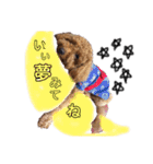我が家の★愛犬スタンプ（個別スタンプ：31）