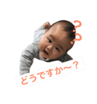 どんぐり社長の印（個別スタンプ：4）
