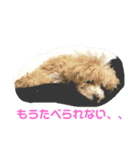 ぷぅがゆく（個別スタンプ：8）