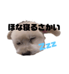 ぼくぴたん（個別スタンプ：4）