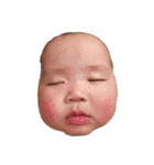 環多朔太郎倫太郎（個別スタンプ：29）