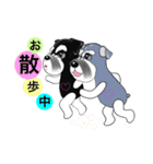 マイシュナウザー(フレンズ）（個別スタンプ：3）