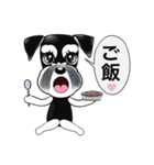マイシュナウザー(フレンズ）（個別スタンプ：13）