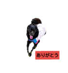 くるみの会話（個別スタンプ：1）