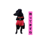 くるみの会話（個別スタンプ：7）