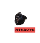 くるみの会話（個別スタンプ：9）