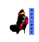 くるみの会話（個別スタンプ：11）