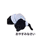 くるみの会話（個別スタンプ：12）