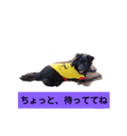 くるみの会話（個別スタンプ：14）