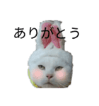 フクにゃん！！（個別スタンプ：1）