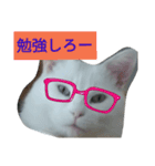 フクにゃん！！（個別スタンプ：10）