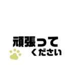 シンプルで便利！猫の肉球つき挨拶（個別スタンプ：24）