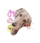ヴィトン（個別スタンプ：5）