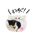 まりごんと、ログもこ（個別スタンプ：7）