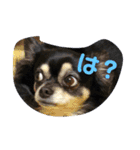 へぃ（個別スタンプ：4）