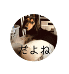 エクレアのきもち（個別スタンプ：2）