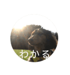 エクレアのきもち（個別スタンプ：4）