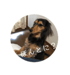 エクレアのきもち（個別スタンプ：5）