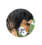 エクレアのきもち（個別スタンプ：8）