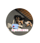エクレアのきもち（個別スタンプ：9）