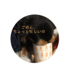 エクレアのきもち（個別スタンプ：11）
