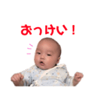 りんとんのスタンプ（個別スタンプ：1）