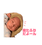 りんとんのスタンプ（個別スタンプ：22）