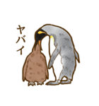 オウサマペンギンのヒナ・きんちゃん（個別スタンプ：34）