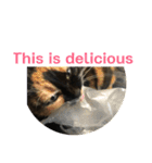 English version2（個別スタンプ：3）