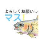 だじゃれ の 魚屋さん SUPER（個別スタンプ：21）