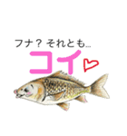 だじゃれ の 魚屋さん SUPER（個別スタンプ：22）