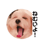 茶々丸とミルキーのスタンプ（個別スタンプ：2）