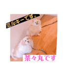 茶々丸とミルキーのスタンプ（個別スタンプ：3）