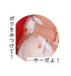 茶々丸とミルキーのスタンプ（個別スタンプ：5）