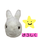 ぴょんぴょんちゃんとばばたいいんちゃん（個別スタンプ：5）