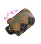 可愛いペットスタンプ！！！（個別スタンプ：1）
