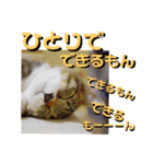猫の対義語（個別スタンプ：19）
