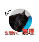 猫の対義語（個別スタンプ：21）