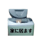 mee Family（個別スタンプ：22）
