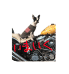そぴや（個別スタンプ：9）