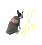 そぴや（個別スタンプ：12）