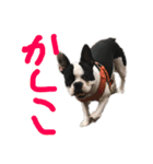 そぴや（個別スタンプ：14）