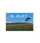 もも屋（個別スタンプ：5）