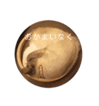 にゃんだんて（個別スタンプ：15）