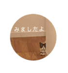 にゃんだんて（個別スタンプ：20）