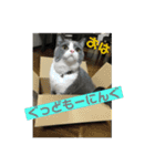 うにょにょ。スタンプpart2（個別スタンプ：1）