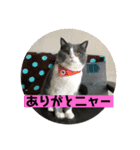うにょにょ。スタンプpart2（個別スタンプ：10）