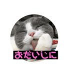 うにょにょ。スタンプpart2（個別スタンプ：14）