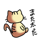 うちのトラ猫（個別スタンプ：1）