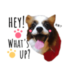 わんぱくさすけ2（個別スタンプ：1）
